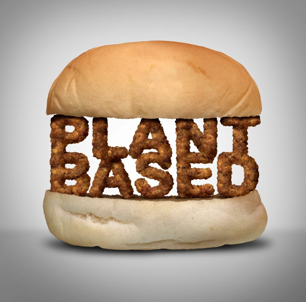 Plant based burger